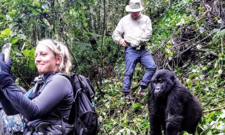 An ultimate guide to gorilla trekking in Uganda-Cost, Where.