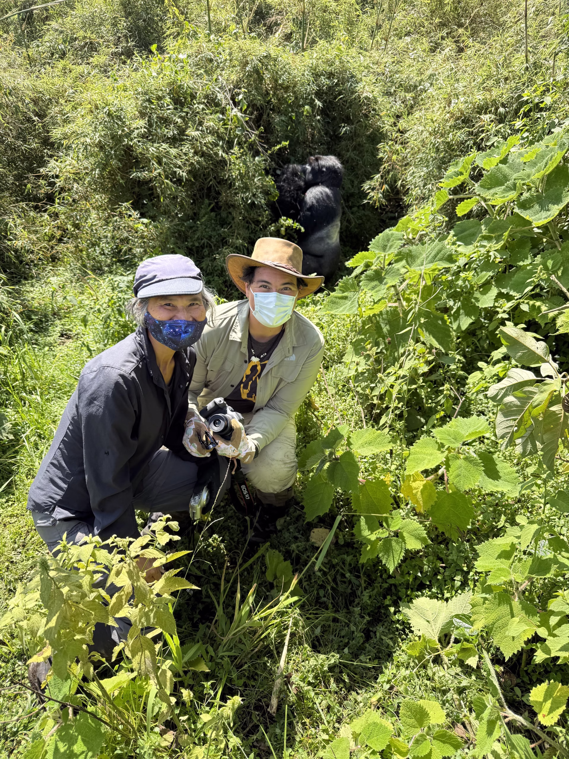 Gorilla Trekking in Bwindi | Luxury Double Gorilla Trekking in Uganda and Rwanda