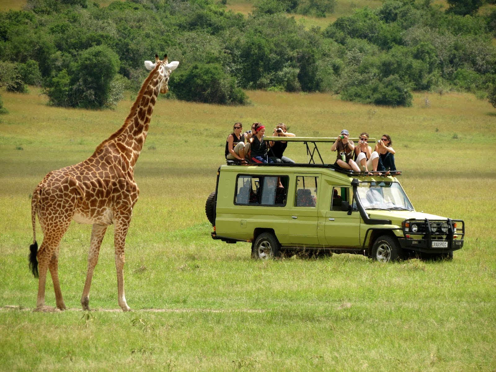 10 Days Uganda Tanzania Safari-See the Big 5 Animals & Gorillas