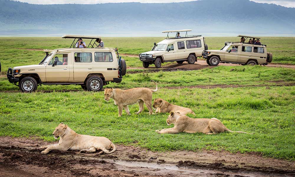 18 Days Combined Best Of Uganda and Tanzania Safari Vacation