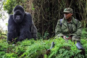 2 DAYS UGANDA GORILLA TOUR