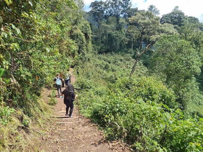 Gorilla Trekking Safaris Uganda