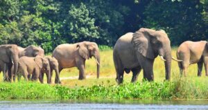 9 Days Uganda And Tanzania