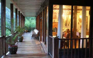 Tanzania Safari and Gorilla Trekking