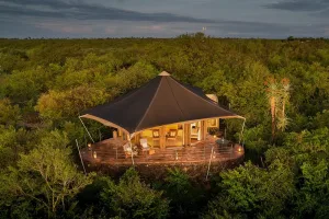 Kenya Safari and Gorilla Trekking