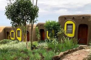 Kenya Safari and Gorilla Trekking