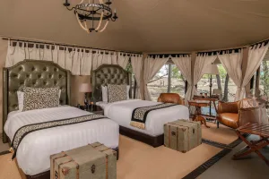 Tanzania Safari and Gorilla Trekking