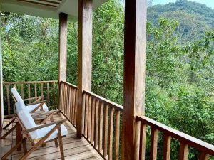Gorilla Trekking and Masai Mara Safari