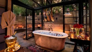 Kenya Safari and Gorilla Trekking