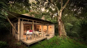 east Africa safari