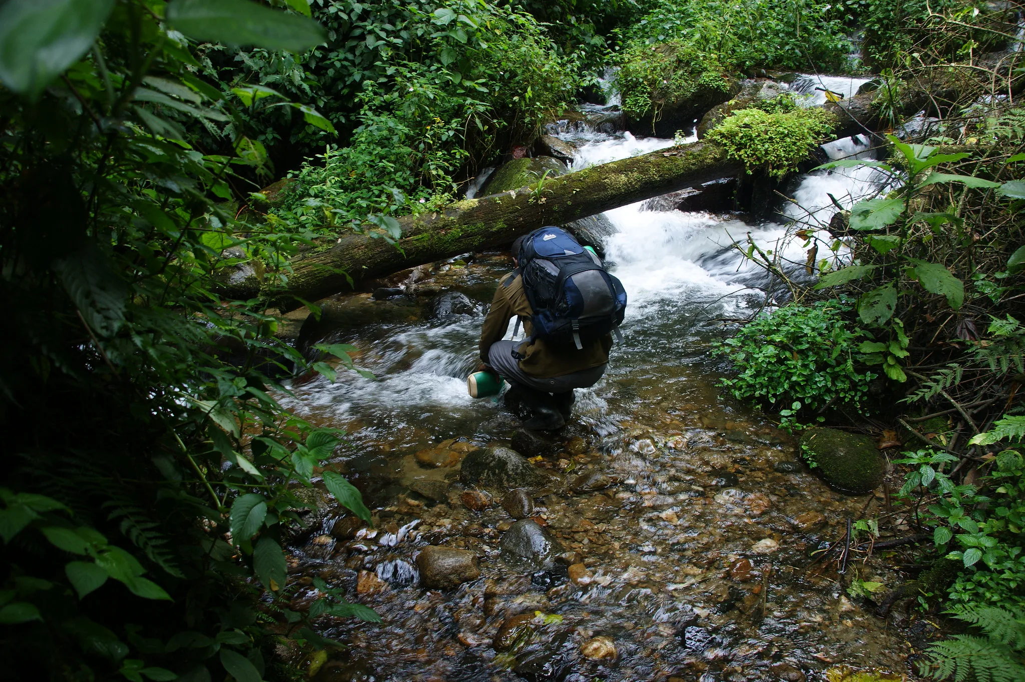 Climbing Mount Rwenzori