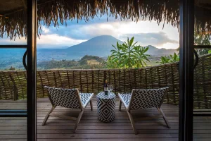 Kenya Safari and Gorilla Trekking