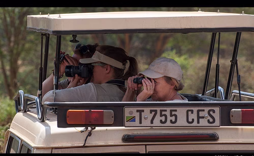 Gorilla Trekking and Victoria Falls
