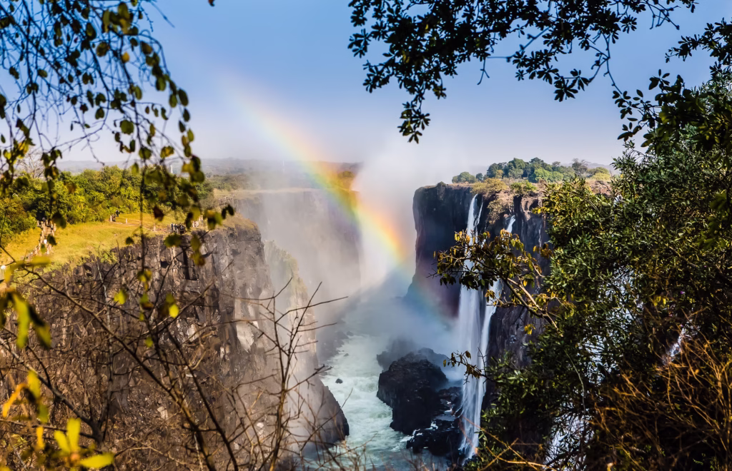 Gorilla Trekking and Victoria Falls