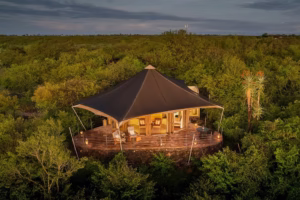 gorilla trekking and masai mara