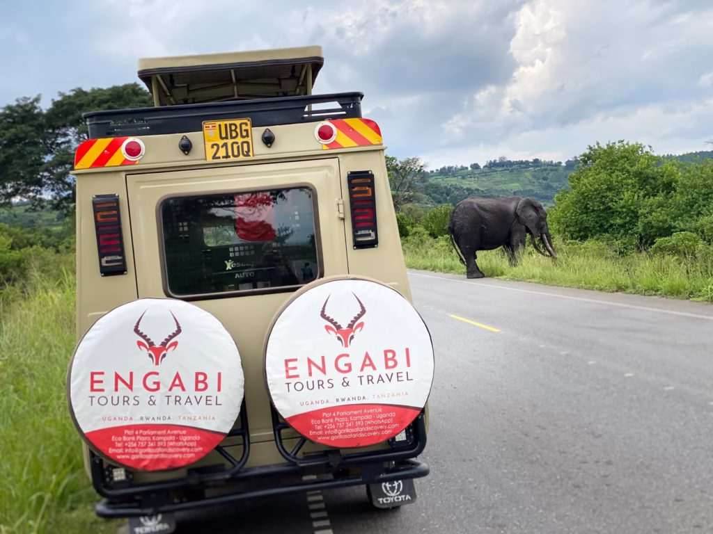 Bespoke Luxury Honeymoon Safaris
