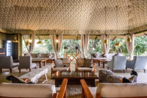 Luxury east Africa safari