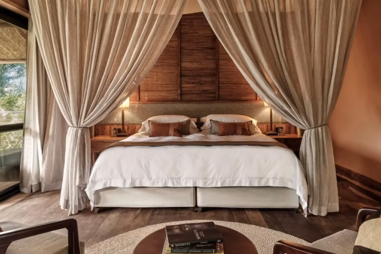 Gorilla Forest Lodge