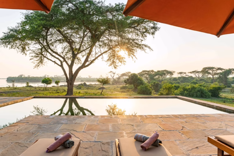 The River Station | Luxury Wildlife & Gorilla Trekking